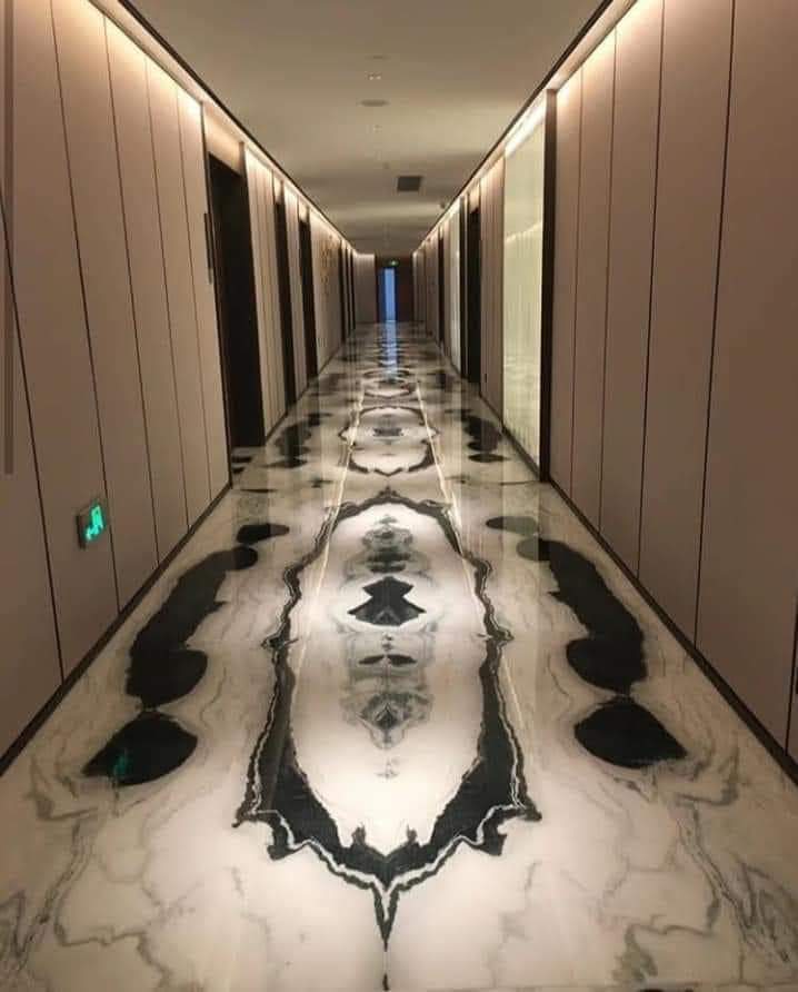 whatsapp image 2024 08 10 at 2.00.46 pm