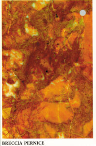 breccia pernice