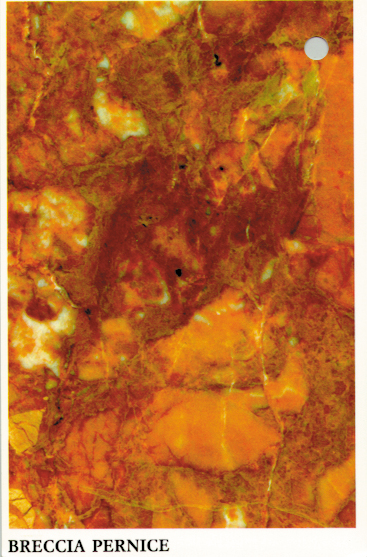 breccia pernice