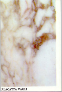 calacatta vagli