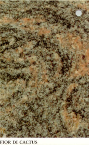 fior di cactus