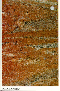 jacaranda