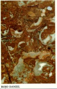 rojo daniel