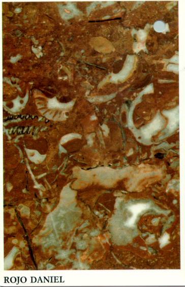 rojo daniel