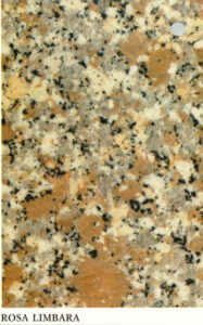 rosa limbara