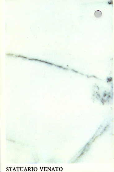 staturio venato