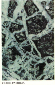 verde patricia